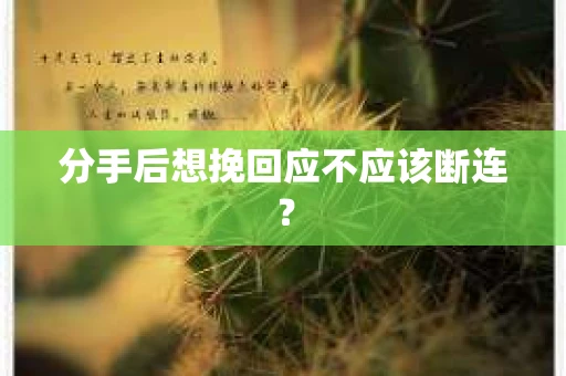 分手后想挽回应不应该断连？