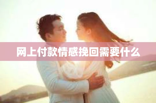 网上付款情感挽回需要什么