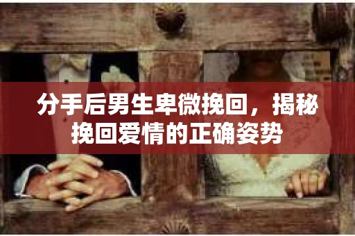 分手后男生卑微挽回，揭秘挽回爱情的正确姿势