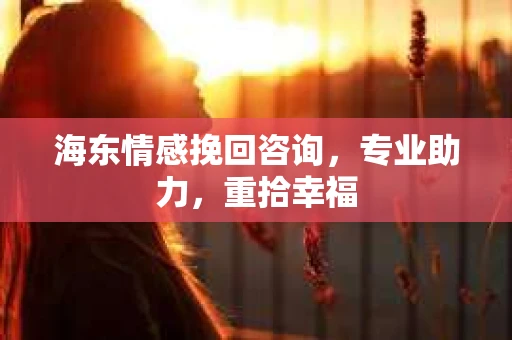 海东情感挽回咨询，专业助力，重拾幸福