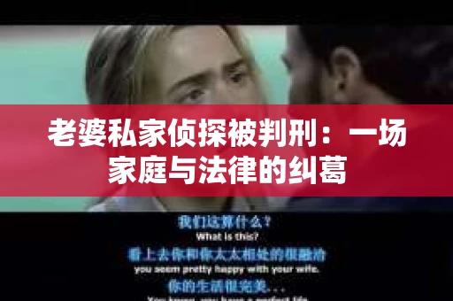 老婆私家侦探被判刑：一场家庭与法律的纠葛