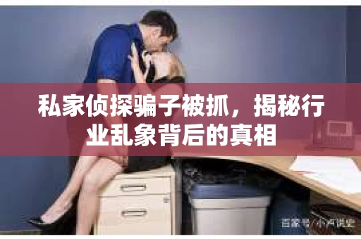 私家侦探骗子被抓，揭秘行业乱象背后的真相