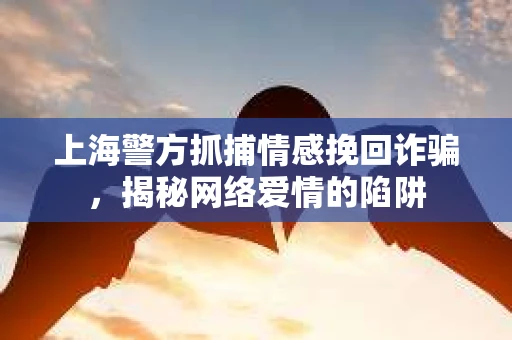 上海警方抓捕情感挽回诈骗，揭秘网络爱情的陷阱