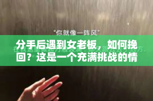 分手后遇到女老板，如何挽回？这是一个充满挑战的情境，但并非无解。以下是一些策略和建议，帮助你在这个复杂的关系中找到合适的挽回方法
