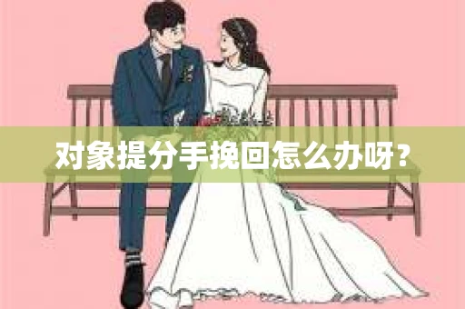 对象提分手挽回怎么办呀？