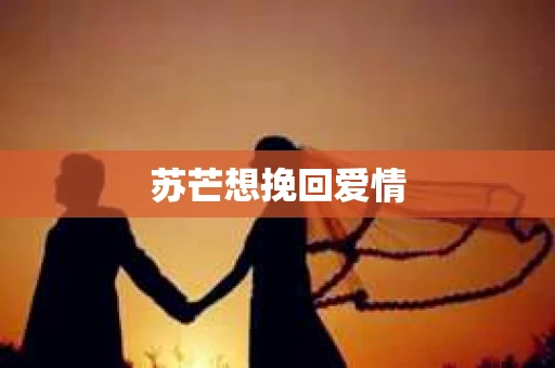 苏芒想挽回爱情