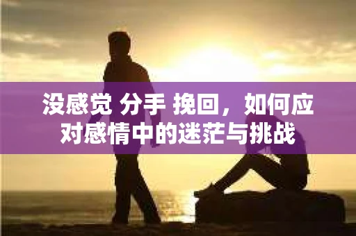 没感觉 分手 挽回，如何应对感情中的迷茫与挑战