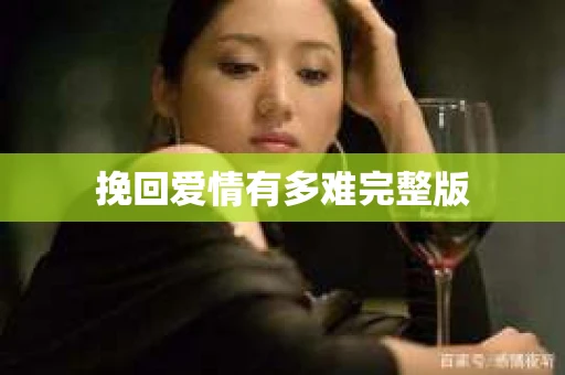 挽回爱情有多难完整版
