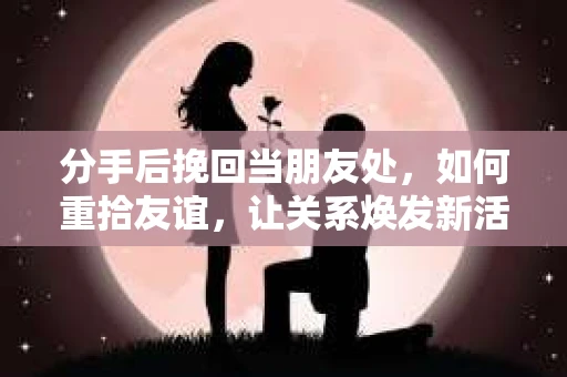 分手后挽回当朋友处，如何重拾友谊，让关系焕发新活力