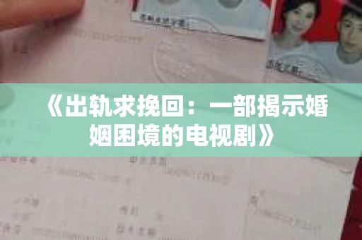 《出轨求挽回：一部揭示婚姻困境的电视剧》
