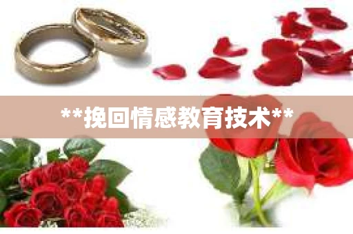 **挽回情感教育技术**