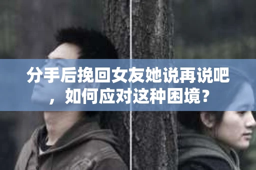 分手后挽回女友她说再说吧，如何应对这种困境？