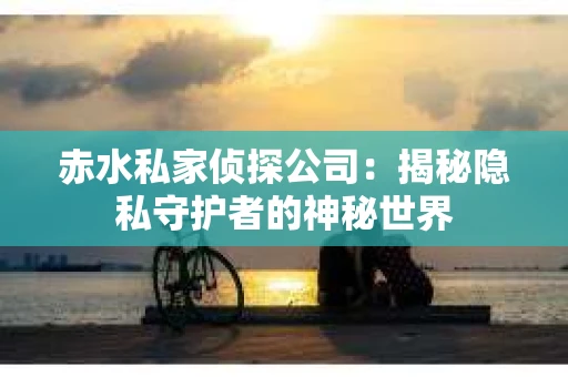 赤水私家侦探公司：揭秘隐私守护者的神秘世界