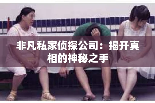 非凡私家侦探公司：揭开真相的神秘之手