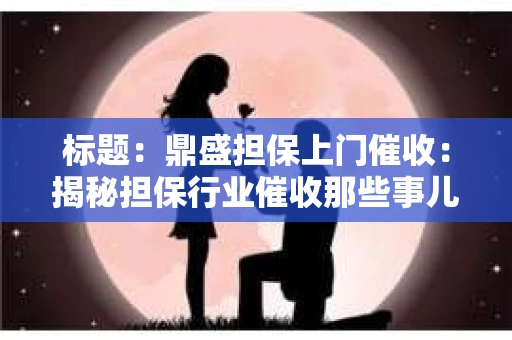 标题：鼎盛担保上门催收：揭秘担保行业催收那些事儿