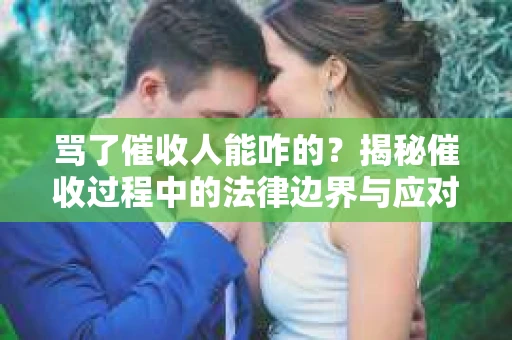 骂了催收人能咋的？揭秘催收过程中的法律边界与应对策略