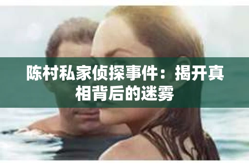 陈村私家侦探事件：揭开真相背后的迷雾