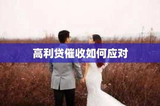 高利贷催收如何应对