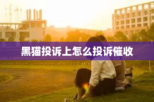 黑猫投诉上怎么投诉催收