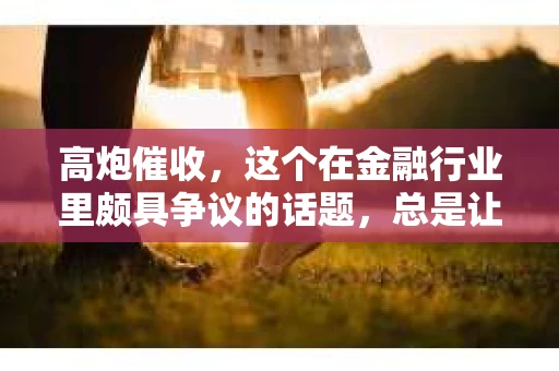 高炮催收，这个在金融行业里颇具争议的话题，总是让人好奇，那些从事这一职业的人究竟都是多大年纪的呢？今天，我们就来聊聊这个话题。