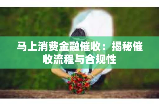 马上消费金融催收：揭秘催收流程与合规性
