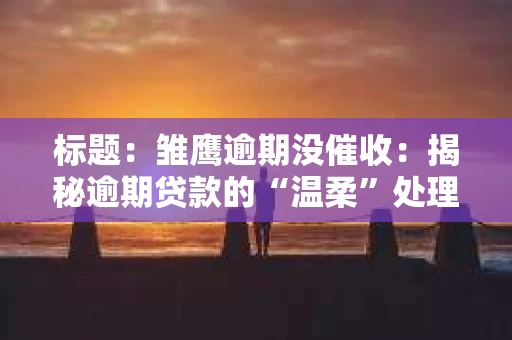 标题：雏鹰逾期没催收：揭秘逾期贷款的“温柔”处理方式