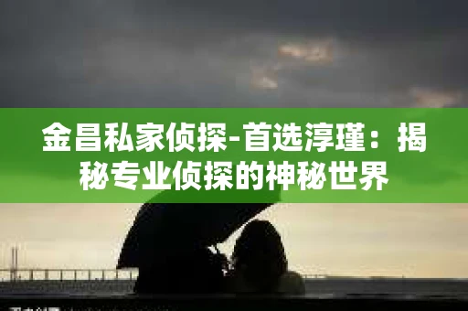 金昌私家侦探-首选淳瑾：揭秘专业侦探的神秘世界