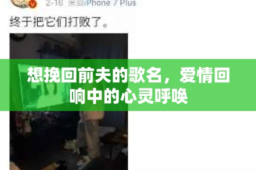 想挽回前夫的歌名,爱情回响中的心灵呼唤 想挽回前夫的歌名,爱情回响中的心灵呼唤