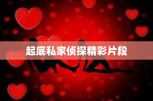起底私家侦探精彩片段