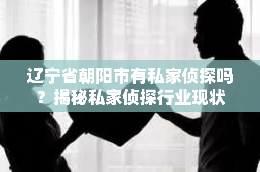辽宁省朝阳市有私家侦探吗？揭秘私家侦探行业现状